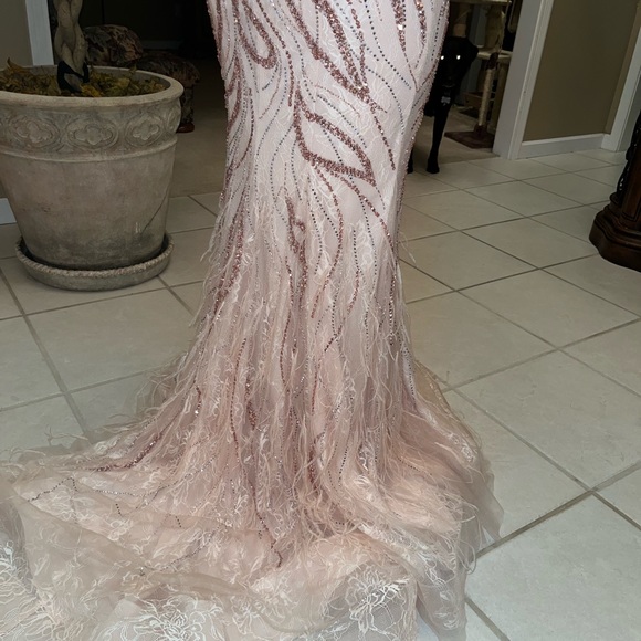 Never worn prom dress. NWT ostrich feathers adorned with substantial beading. - Picture 6 of 6